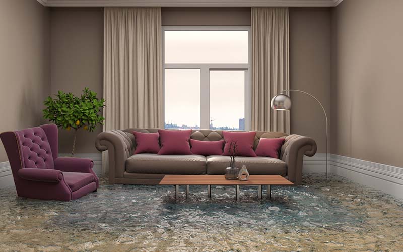 carpet cleaning in NYC, carpet cleaning in new york, carpet cleaning NYC, carpet cleaners in NYC, carpet cleaners in new york, commercial carpet cleaning, commercial carpet cleaning in NYC, NYC rug cleaners, rug cleaning services in NYC, same day carpet cleaning, same day rug cleaning