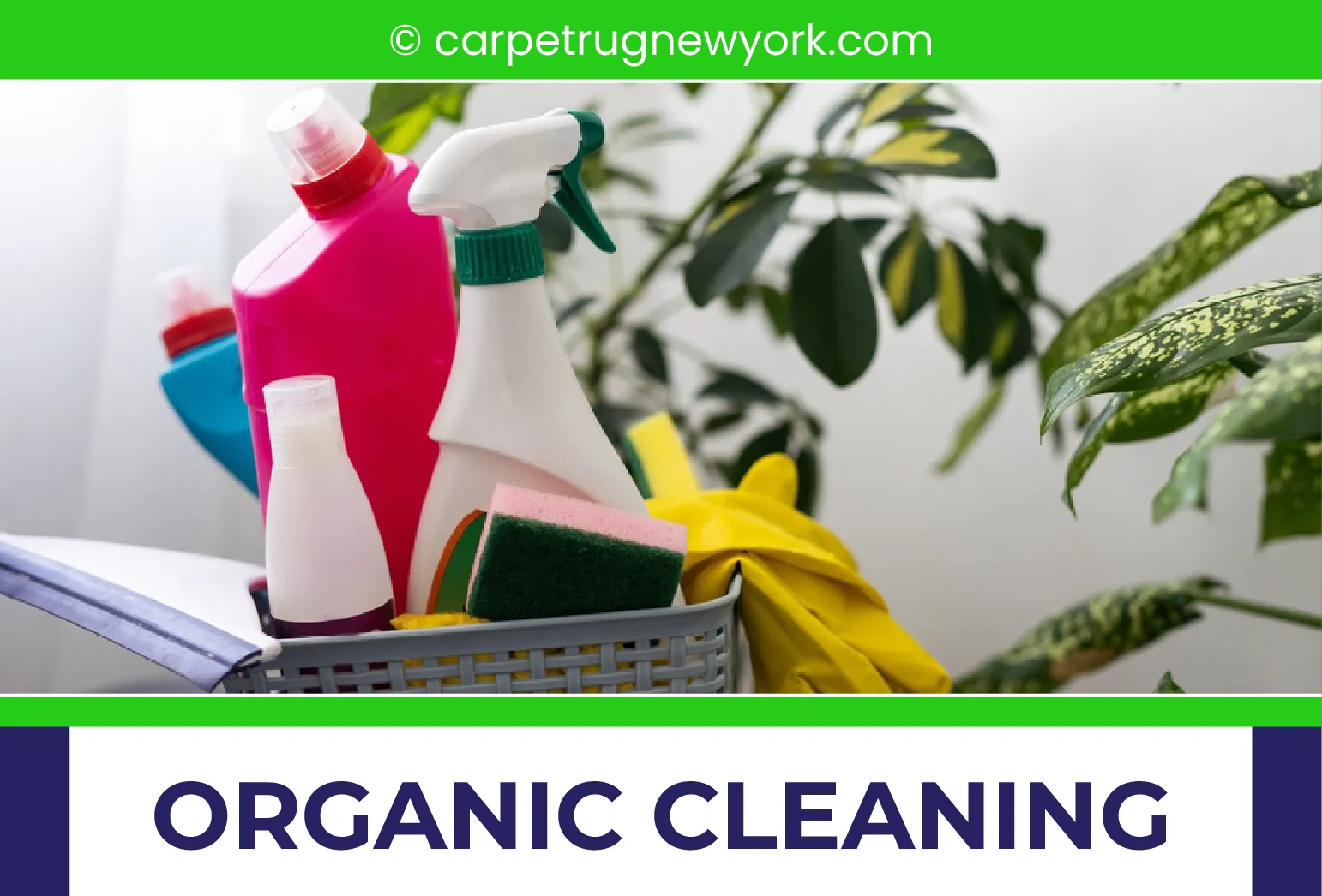 carpet cleaning in NYC, carpet cleaning in new york, carpet cleaning NYC, carpet cleaners in NYC, carpet cleaners in new york, commercial carpet cleaning, commercial carpet cleaning in NYC, NYC rug cleaners, rug cleaning services in NYC, same day carpet cleaning, same day rug cleaning